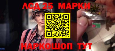 PSILOCYBIN Моздок