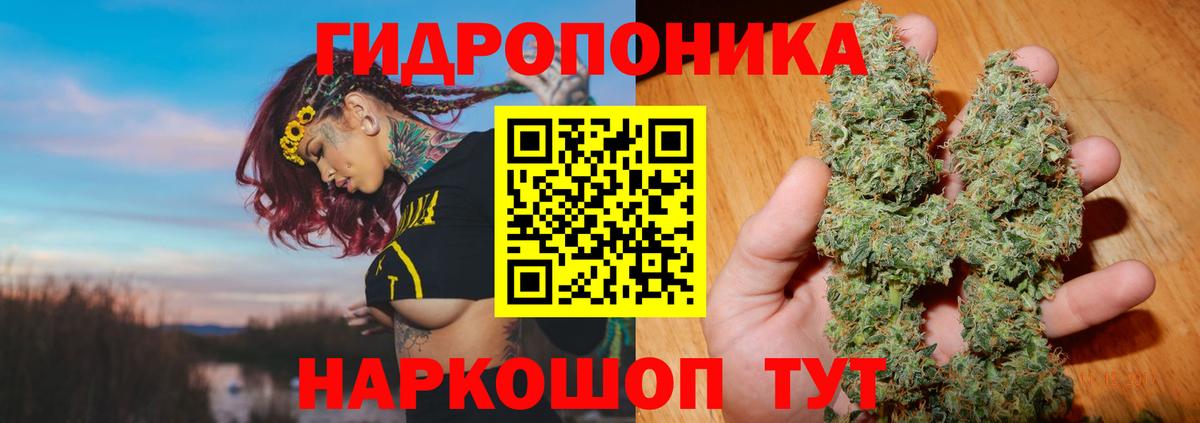 Сосновый Бор  Конопля Amnesia  Вход с VPN  Бошки Шишки AK-47  Каннабис планчик 